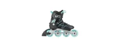 Alexis 84 Pro Dam