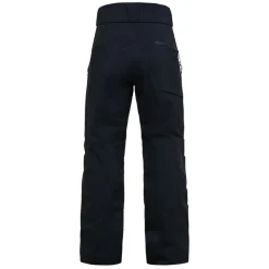 Alpine Gore-Tex Insulated Pant Herr