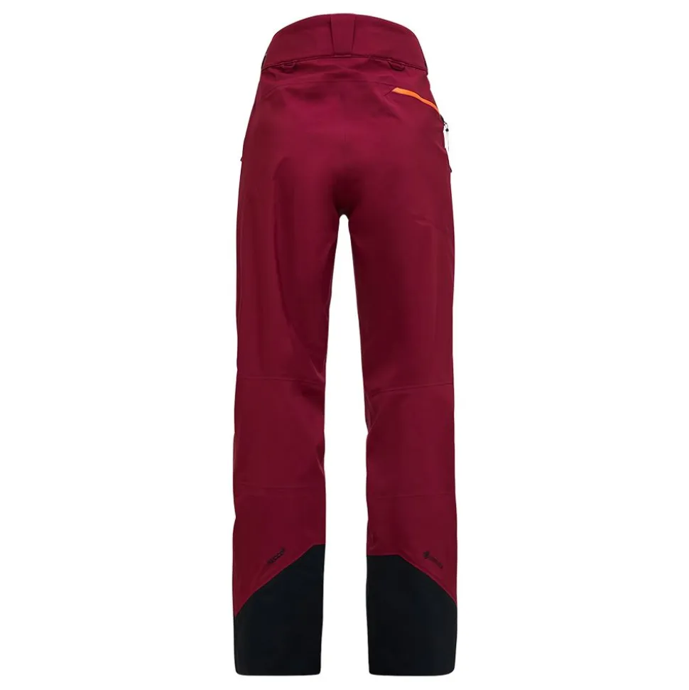 Alpine Gore-Tex 3L Pant dam