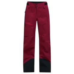 Alpine Gore-Tex 3L Pant dam