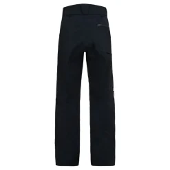 Alpine Gore-Tex 3L Pant herr
