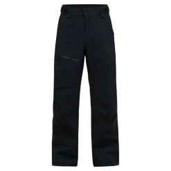 Alpine Gore-Tex 3L Pant herr