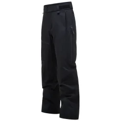 Alpine GORE-TEX 2L Pants Herr