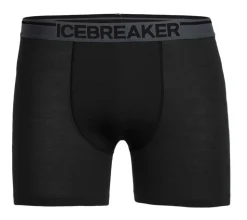 Anatomica Boxer Herr