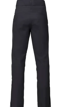 Apex GTX Pant Herr