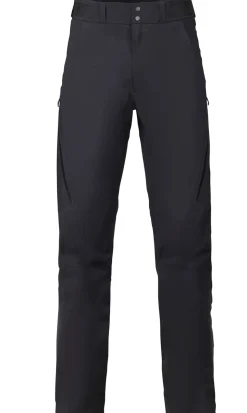 Apex GTX Pant Herr