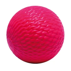 Bandy Ball