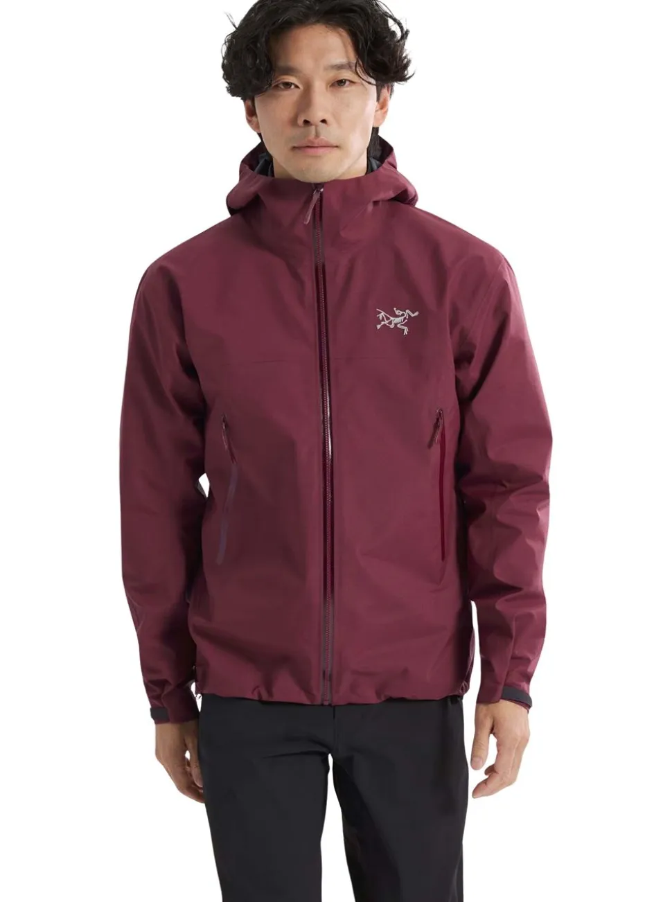 Beta Jacket Herr