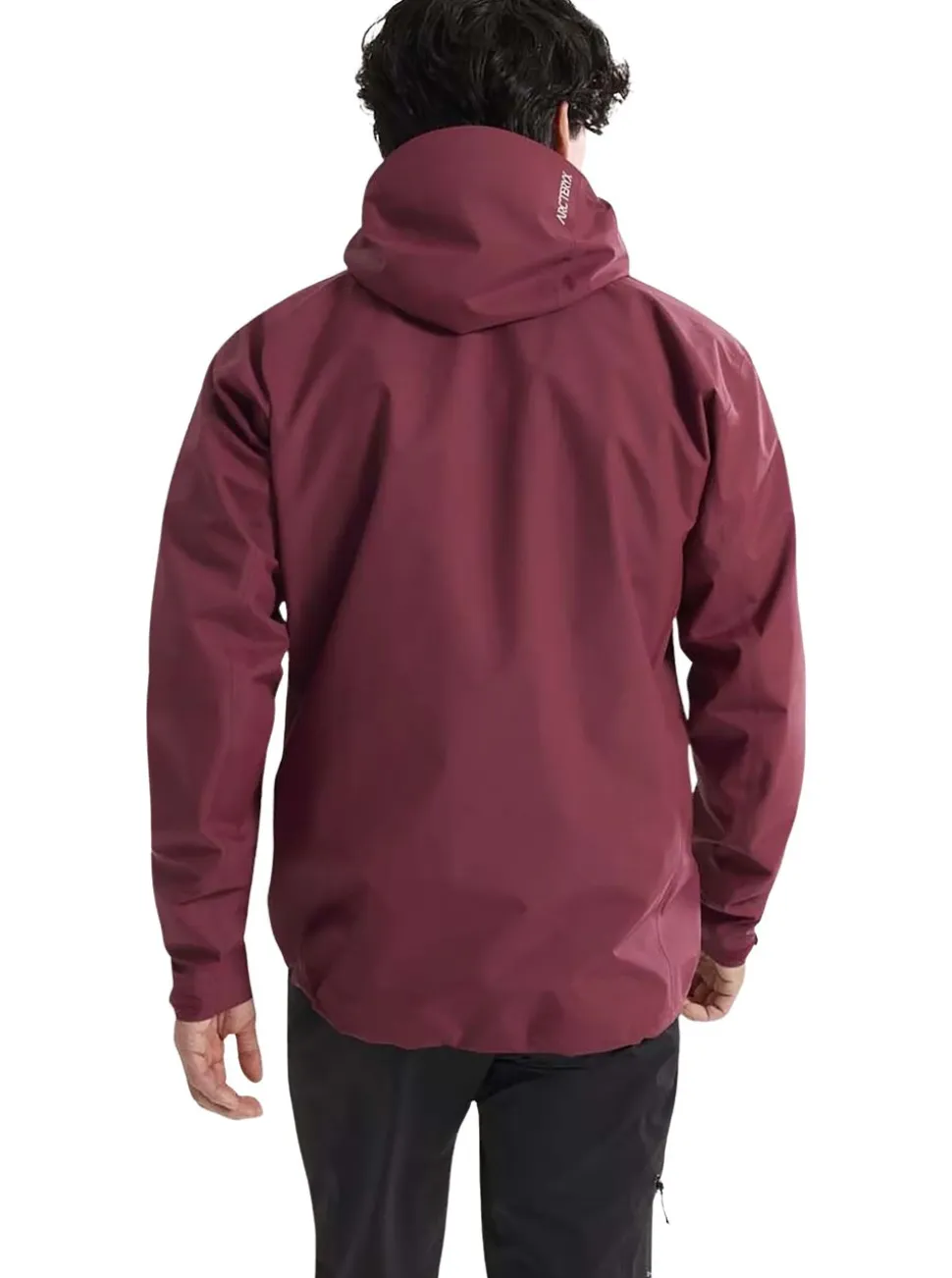 Beta Jacket Herr