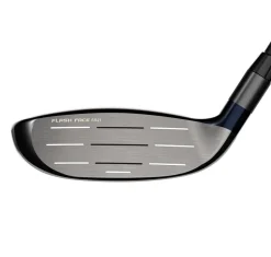 Big Bertha B21 Fairwaywood
