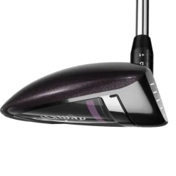 Big Bertha Reva FW 40 Dam