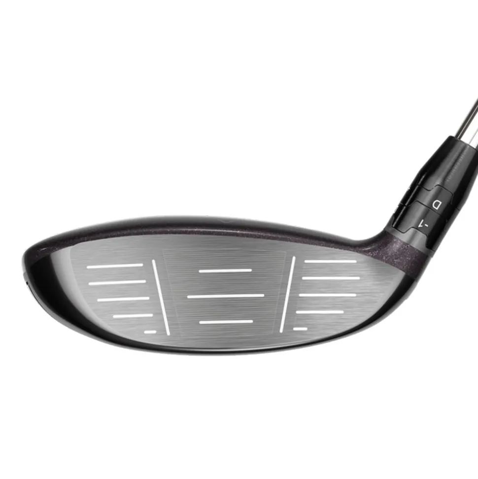 Big Bertha Reva FW 40 Dam