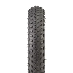 Bontrager XR1 Kids 2.25