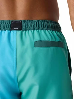 BORG BLOCKED SWIM SHORTS HERR