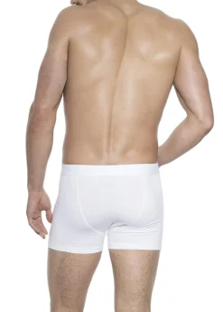 Boxer Brief Herr