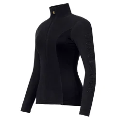 BREZZA ski pully dam