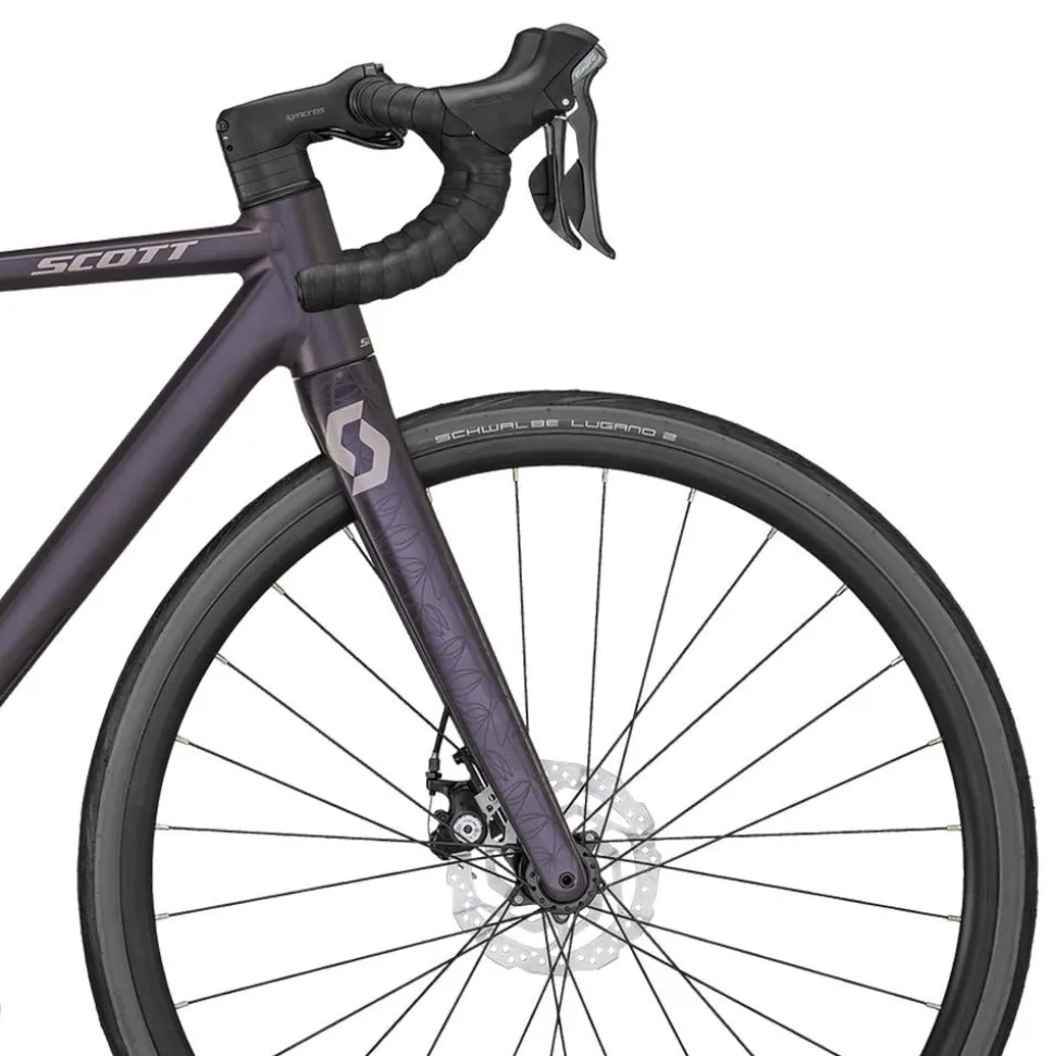 Contessa Speedster 15 Dam