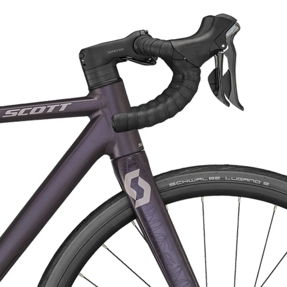 Contessa Speedster 15 Dam
