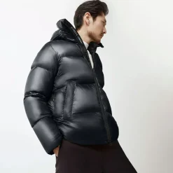 Crofton Puffer Herr
