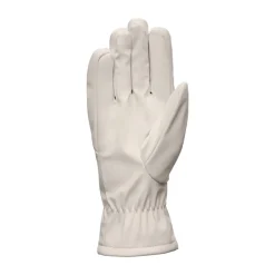 Drop Glove Dam