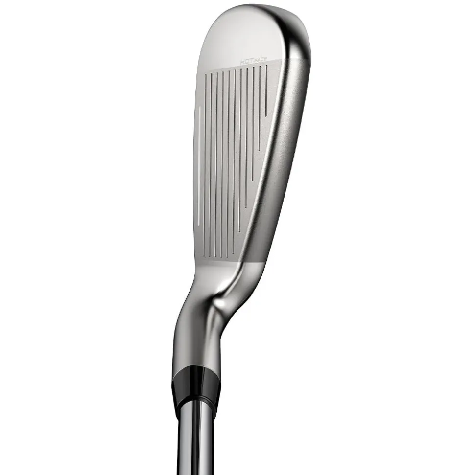 DS-Adapt Max Iron