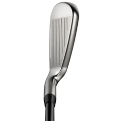 DS-Adapt Max Iron Dam