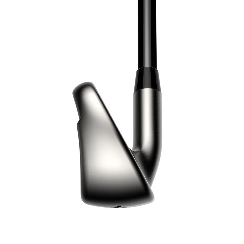 DS-Adapt Max Iron Dam