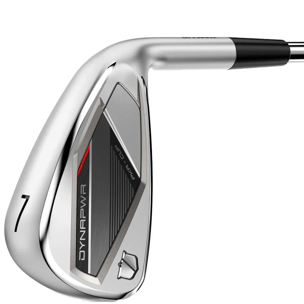 Dynapwr Steel Irons
