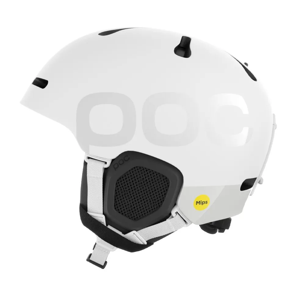 Fornix BC