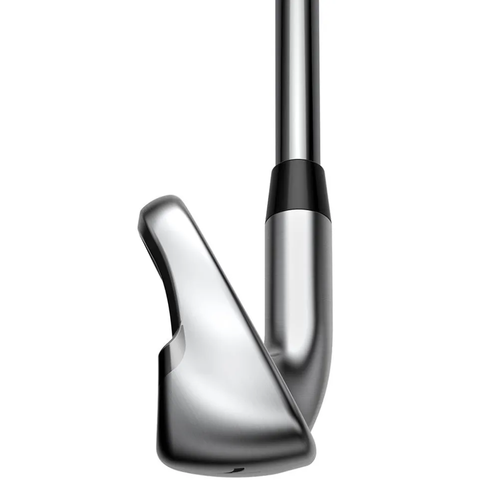 King Max Iron Set