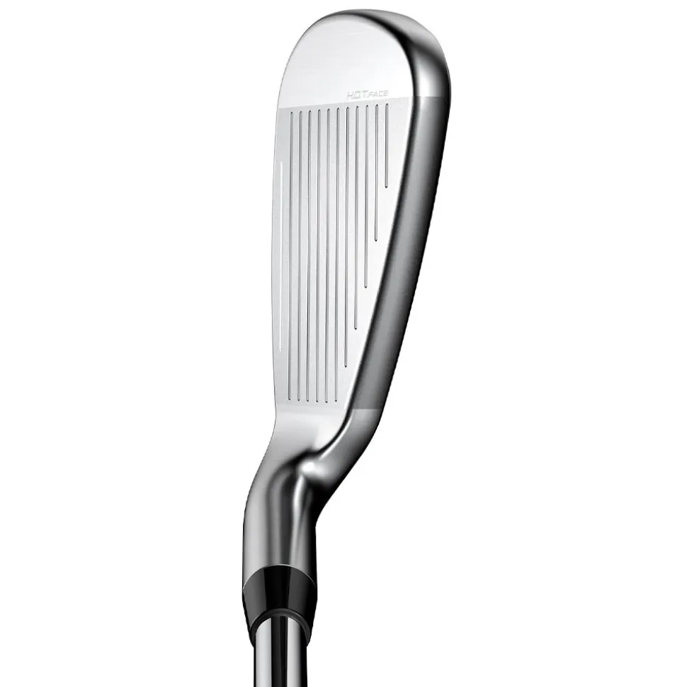 King Max Iron Set