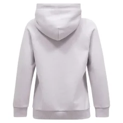 Original Hood Dam