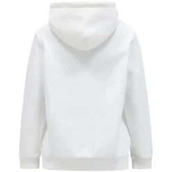 Original Small Logo Hood Dam