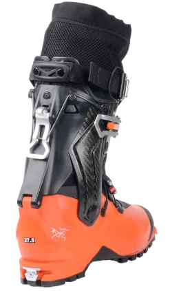 Procline Carbon Herr