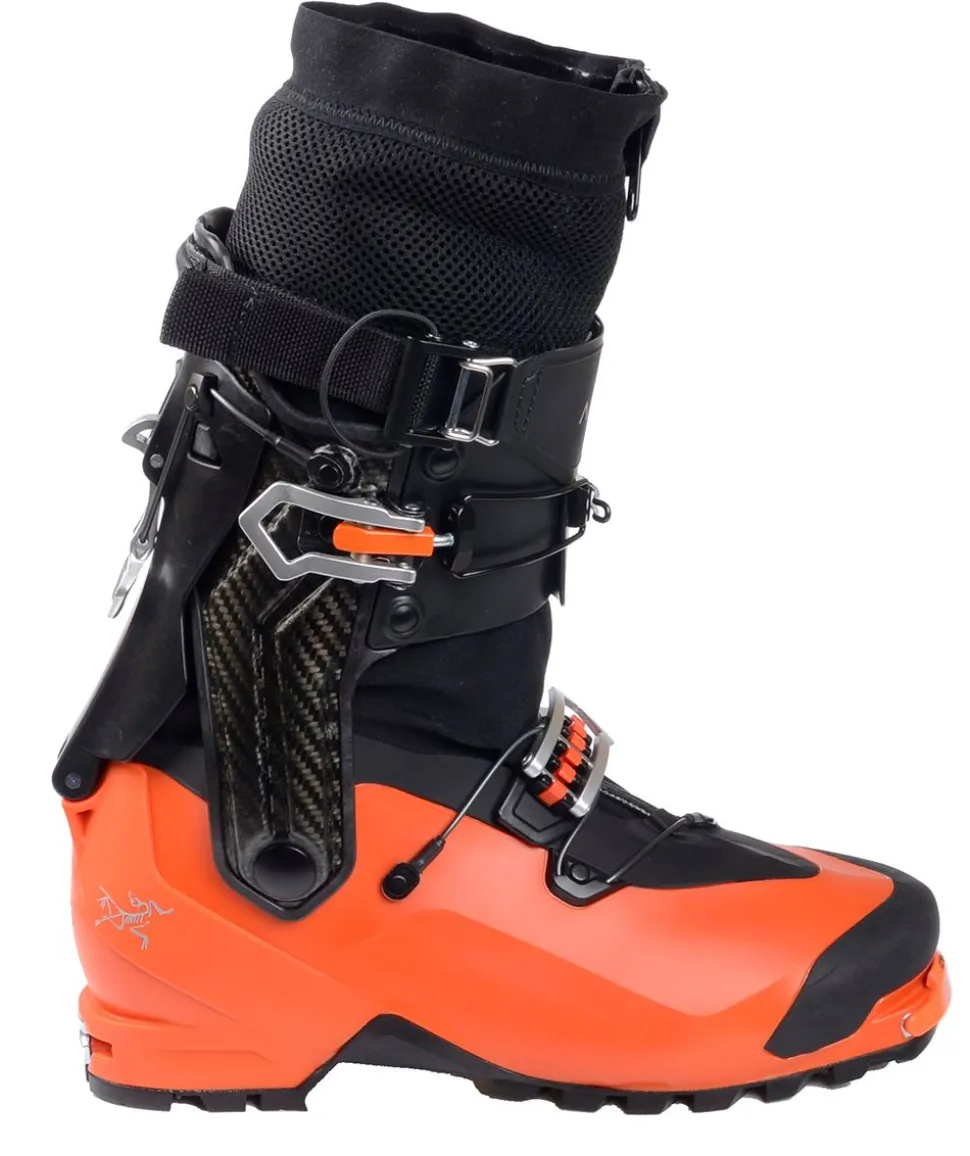 Procline Carbon Herr