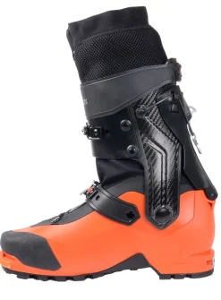 Procline Carbon Herr