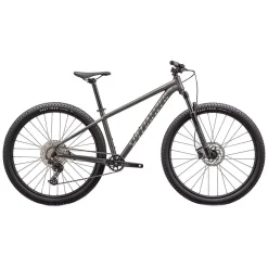 Rockhopper Expert 29