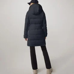 Shelburne Parka Dam