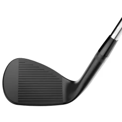 SM10 Wedge