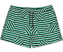 Stripe Swim Shorts Herr