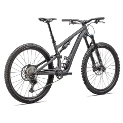 Stumpjumper 15 Comp Alloy