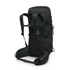 Talon 33