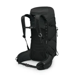Talon 33