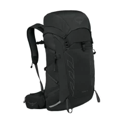 Talon 33