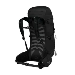 Talon 33