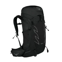 Talon 33