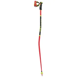 WCR GS 3D