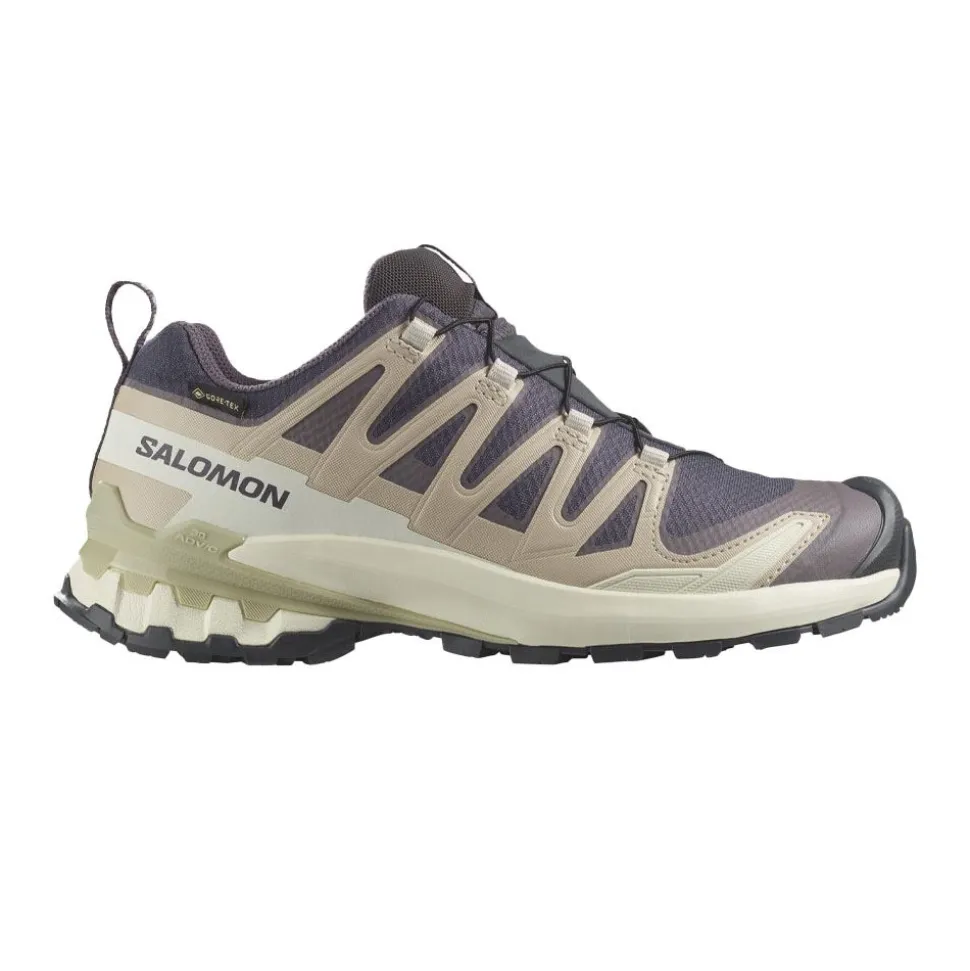 XA Pro 3D V9 Gore-Tex 9 Dam