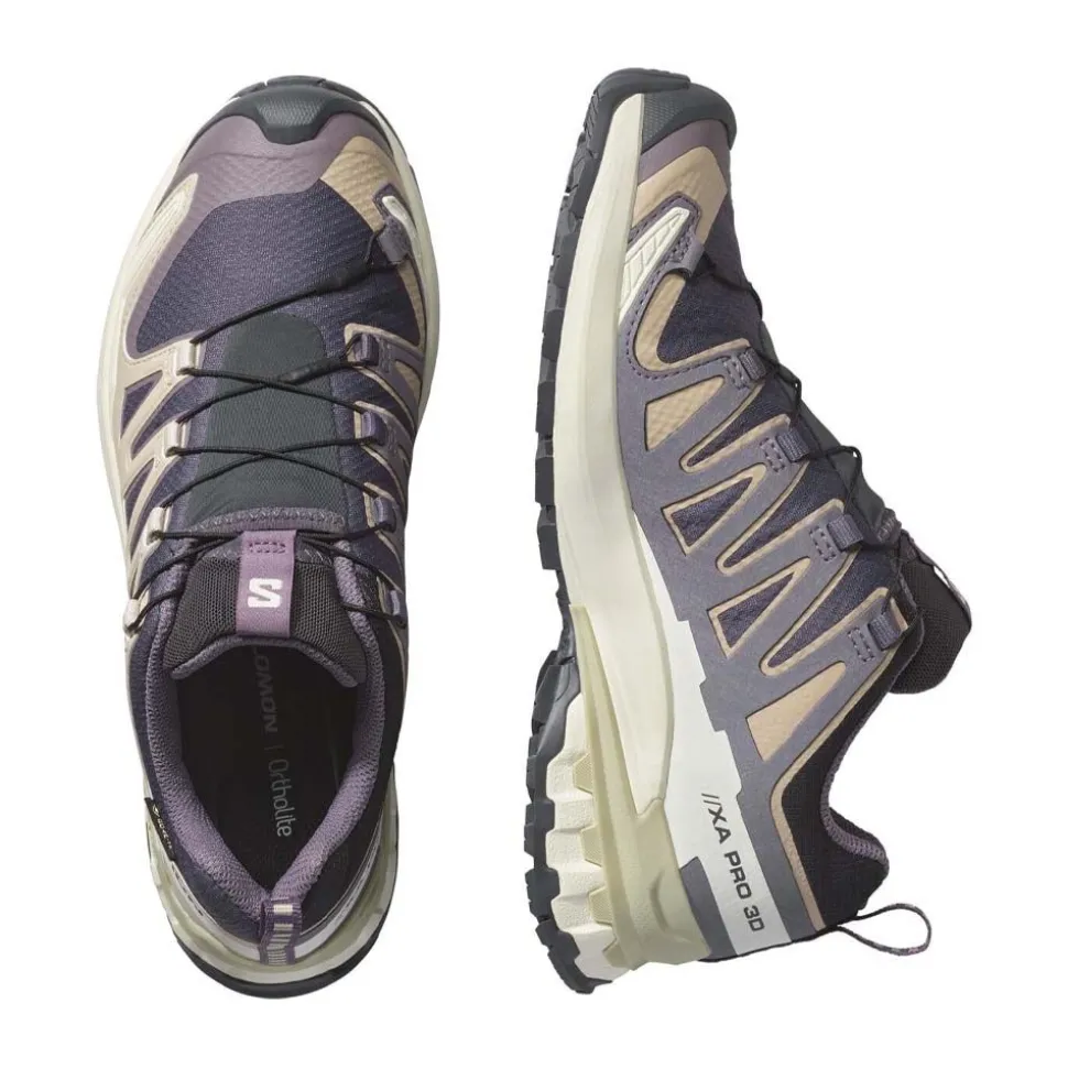 XA Pro 3D V9 Gore-Tex 9 Dam